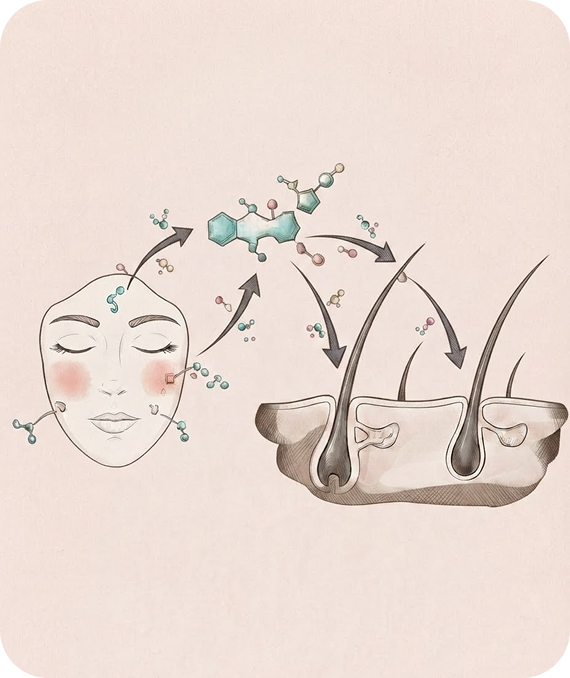 What Are Androgens?